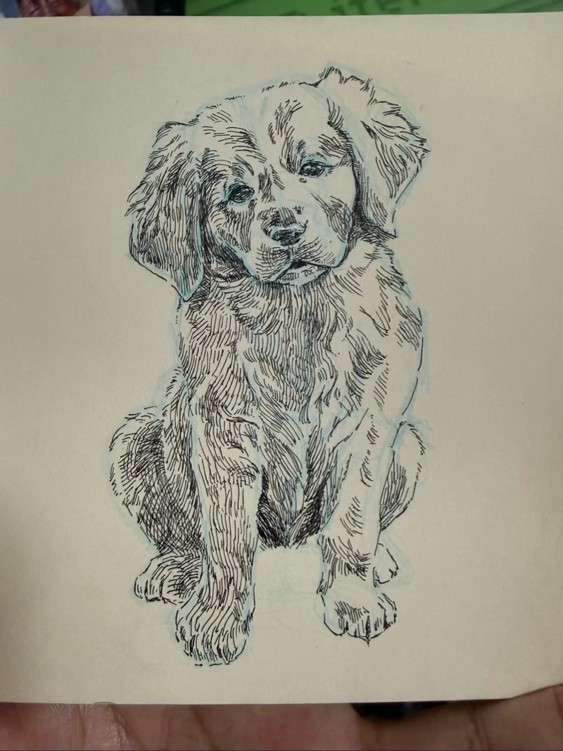 dog