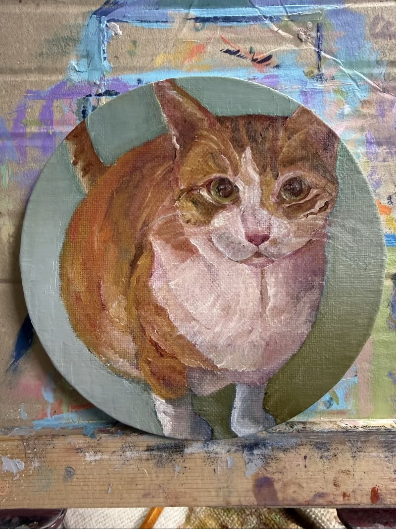 cat